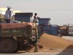 આજથી ટેકાના ભાવે તુવેર અને ચણાની ખરીદી થશે શરૂ, જુઓ વીડિયો