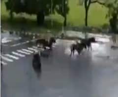 দুর্যোগ পরিস্থিতি মোকাবিলায় সেনার সাহায্য চাইল রাজ্য