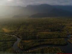 Brazilian environment scientist claims new pandemic will spread from Amazon