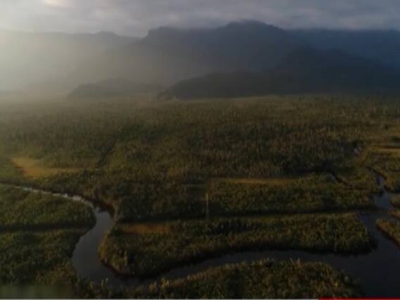 Brazilian environment scientist claims new pandemic will spread from Amazon