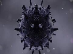 Four new claims of COVID-19 spread