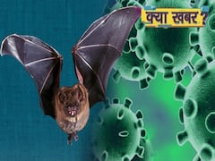 Coronavirus Is Just Tip Of The Iceberg, Warns China's Top Virologist l ABP Uncut