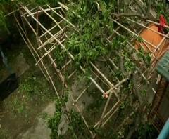 ‘সব কেড়ে নিয়েছে ঝড়', ভেঙে গিয়েছে ৯৫ শতাংশ বাড়ি, হাহাকার গঙ্গাসাগর জুড়ে