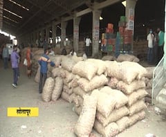 Beed, Solapur Onion | लॉकडाऊन काळात कांदा पिकाने शेतकऱ्यांना रडवलं; तीन महिन्यापासून मार्केट बंद