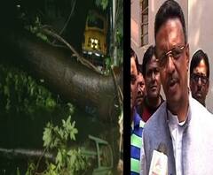 কলকাতায় প্রায় ৫ হাজার গাছ পড়ে গিয়েছে, বাড়ি ভেঙে গিয়েছে, জানালেন ফিরহাদ হাকিম