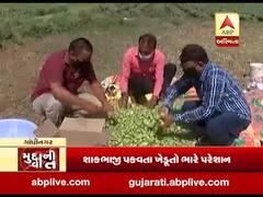 ગાંધીનગર: લૉકડાઉનના કારણે શાકભાજી પકવતા ખેડૂતો પરેશાન, બજારો બંધ હોવાથી નથી કોઈ ખરીદાર, જુઓ વીડિયો