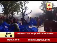 મહેસાણા APMCના ફૂડ માર્કેટમાં લાગી આગ, જુઓ વીડિયો