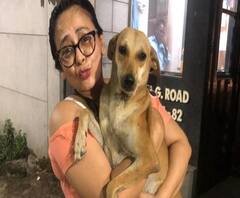 কঙ্কালসার চেহারা দেখে মন কাঁদে, পথ কুকুরদের প্রতিদিন ২ বেলা খাওয়ানোর ব্যবস্থা শ্রীলেখার 