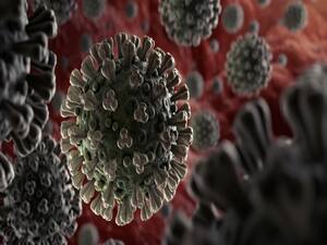 Are COVID-19 patients Are COVID-19 patients dying of blood clotting? | Sacchai Ka Sensex (08.05.2020)