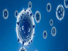 પાણીમાં કોરોનાની હાજરી શોધવા આવતા સપ્તાહે શરૂ થશે રિસર્ચ 