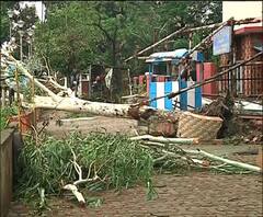 উমপুনে তছনছ কলকাতা, লন্ডভন্ড বাংলা, আজও বৃষ্টির আশঙ্কা 