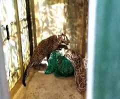 Rural News | माझं गाव माझा जिल्हा | राज्याच्या कानाकोपऱ्यातील बातम्यांचा आढावा 