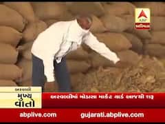 અરવલ્લીમાં મોડાસા માર્કેટ યાર્ડ શરૂ, મકાઇ, ચણા, બાજરીની કરાઇ ખરીદી