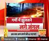 झुलस रहे हैं देवभूमि के जंगल , जंगल में कौन लगा रहा आग?