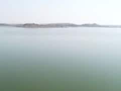 રાજકોટ- નર્મદાના પાણી પહોંચ્યા આજી ડેમમાં, જુઓ વીડિયો