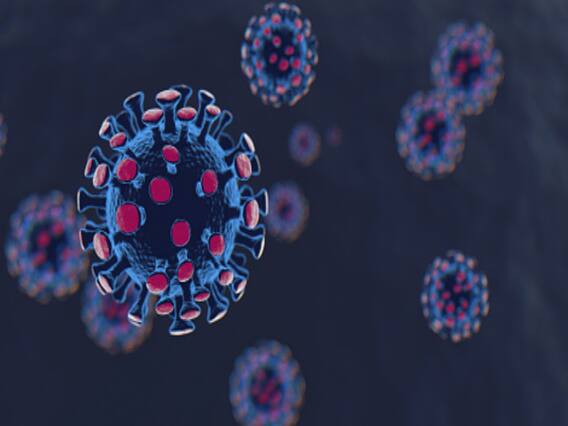 पुरुषों में कोरोना का खतरा ज्यादा क्यों? | नमस्ते भारत (12.05.2020)