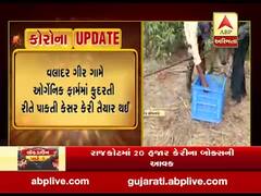 ગીર સોમનાથમાં ખેડૂતોએ કેસર કેરીને લણવાની કામગીરી શરૂ કરી, જુઓ વીડિયો 