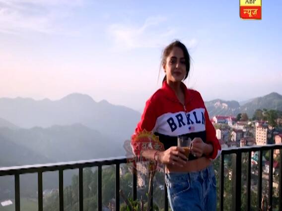 How TV celebrities are still enjoying the lockdown | SBS Full 