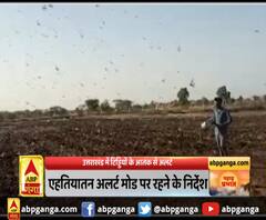 उत्तराखंड में टिड्डियों के आतंक को लेकर अलर्ट