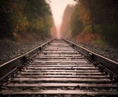 এক ঝলকে: রেললাইন ধরে ঝাড়খণ্ডের বাড়িতে ফেরার সময় প্রাণে বাঁচলেন ২০ জন শ্রমিক, জলপাইগুড়িতে মাছ ধরতে লকডাউন অমান্য, সঙ্গে ২৩ জেলার আরও খবর