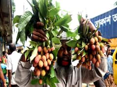 India Post to home-deliver litchi in Indian cities