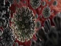 Gujarat: दवा कंपनी कैडिला फार्मा के कुल 26 कर्मचारी कोरोना पॉजिटिव