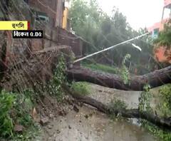 ঘূর্ণিঝড় উমপুন: শ্রীরামপুরের মাহেশে গাছ পড়ে বিদ্যুৎহীন এলাকা, শহরে ভেঙে পড়েছে একাধিক বাড়িও