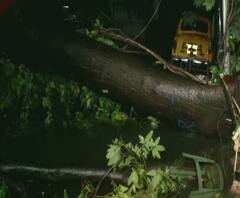 উমপুন: লেক গার্ডেন্সে গাছের ভারে ভেঙে পড়ল ফুটপাতের রেলিং