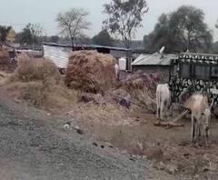 Beed Murder | बीडमध्ये शेतीच्या वादातून एकाच कुटुंबातील तिघांची हत्या, 12 संशयित ताब्यात