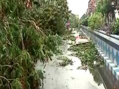 Amphan cyclone: Uprooted trees, streets swamped with water a common sight in Kolkata