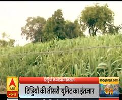  Mudde Ki Baat: टिड्डियों के खौफ में किसान, आगरा को फिलहाल राहत | ABP Ganga