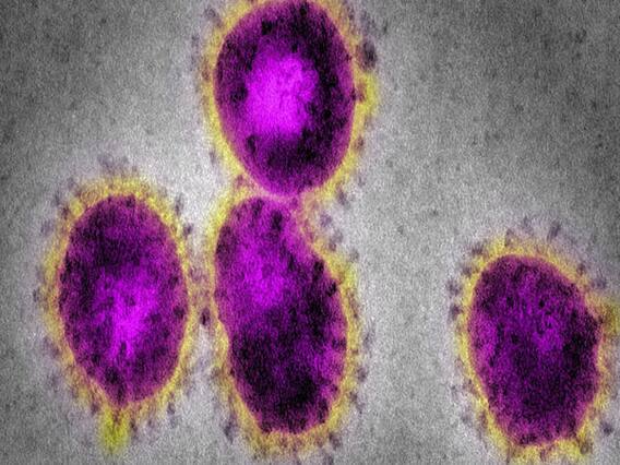 Maharashtra में अब तक 342 पुलिसकर्मी कोरोना संक्रमित