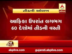 ગુજરાત, રાજસ્થાન, UP, MP, હરિયાણા, દિલ્હી સહિતના રાજ્યોમાં તીડ ત્રાટક્યા, જુઓ વીડિયો 