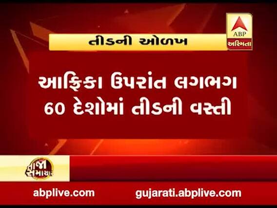 ગુજરાત, રાજસ્થાન, UP, MP, હરિયાણા, દિલ્હી સહિતના રાજ્યોમાં તીડ ત્રાટક્યા, જુઓ વીડિયો 