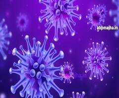 #Coronavirus | नागपूरमध्ये दिवसभरात कोरोनाचे दहा नवे रुग्ण, एकूण कोरोनाबाधितांची संख्या 280 वर 