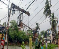 ঘূর্ণিঝড় উমপুন: গাছ ভেঙে অবরুদ্ধ যশোর রোড, প্রশাসনের দেখা না মেলার অভিযোগ তুলে হাত লাগালেন স্থানীয়রাই 