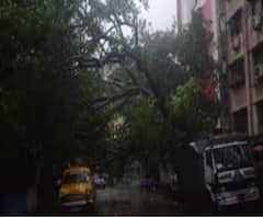 ঘূর্ণিঝড় উমপুন: চিত্তরঞ্জন অ্যাভিনিউ-তে রাস্তায় হেলে পড়ে গেল আস্ত একটি মন্দির! 