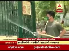 ગરમીનો પ્રકોપ: અમદાવાદમાં રેડ એલર્ટ, કાંકરીયા ઝૂમાં પ્રાણી માટે ગ્રીન નેટ, કૂલર, પાણીનો છંટકાવ કરાયો, જુઓ વીડિયો 