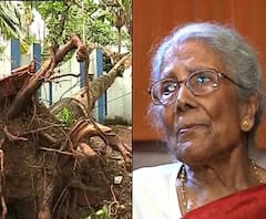 উমপুন: কলকাতার উপড়ে পড়া গাছগুলোকে পুনরায় রোপণের আর্জি জানিয়ে মেয়রকে চিঠি সংগীতশিল্পী সন্ধ্যা মুখোপাধ্যায়ের