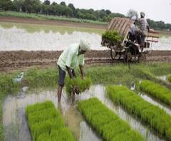 উমপুনের আঘাতে কৃষিক্ষেত্রে বড়সড় ধাক্কার আশঙ্কা
