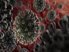 24 घंटे में UP, महाराष्ट्र और गुजरात में कोरोना के कितने मामले आए? देखिए