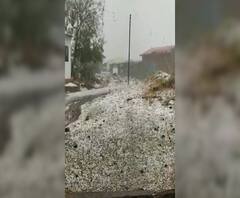 Unseasonal Rains | राज्यात अवकाळी पाऊस, गारपीट; शेतकऱ्यांना मदत द्या, खा. भारती पवार यांची मागणी