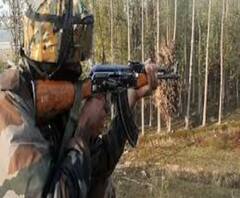 লকডাউনের মধ্যেই জম্মু- কাশ্মীরে এনকাউন্টার, নিহত এক হিজবুল জঙ্গি, সীমান্তে গোলাবর্ষণ পাক সেনার