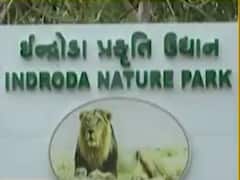ગરમીથી પ્રાણીઓને રક્ષણ આપવા ગાંધીનગરના ઇન્દ્રોડા પ્રાણી સંગ્રહાલયમાં કરાઇ ખાસ વ્યવસ્થા, જુઓ વીડિયો