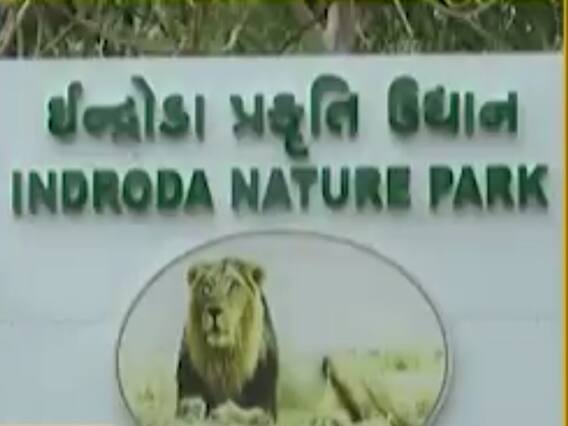ગરમીથી પ્રાણીઓને રક્ષણ આપવા ગાંધીનગરના ઇન્દ્રોડા પ્રાણી સંગ્રહાલયમાં કરાઇ ખાસ વ્યવસ્થા, જુઓ વીડિયો