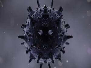 Over 37,000 still infected with Coronavirus in India | Panchnama Full