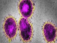 Noida reports 18 new COVID-19 cases, tally mounts to 405