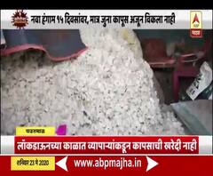 Special Report | पांढरं सोनं शेतकऱ्यांच्या चिंता वाढवणार? नवा हंगाम 15 दिवसांवर, मात्र जुना कापूस अजूनही घरात!