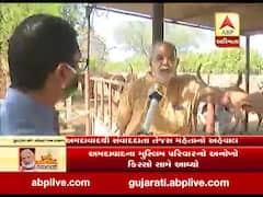 લોકડાઉન: અમદાવાદના મુસ્લિમ પરિવારે ગૌધન માટે ઘાસચારાનું વાવેતર કરી ખરા અર્થમાં કરી ગૌસેવા, જુઓ વીડિયો 