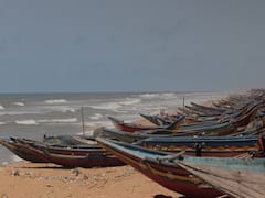 Amphan cyclone: Storm claims 4 lives in West Bengal